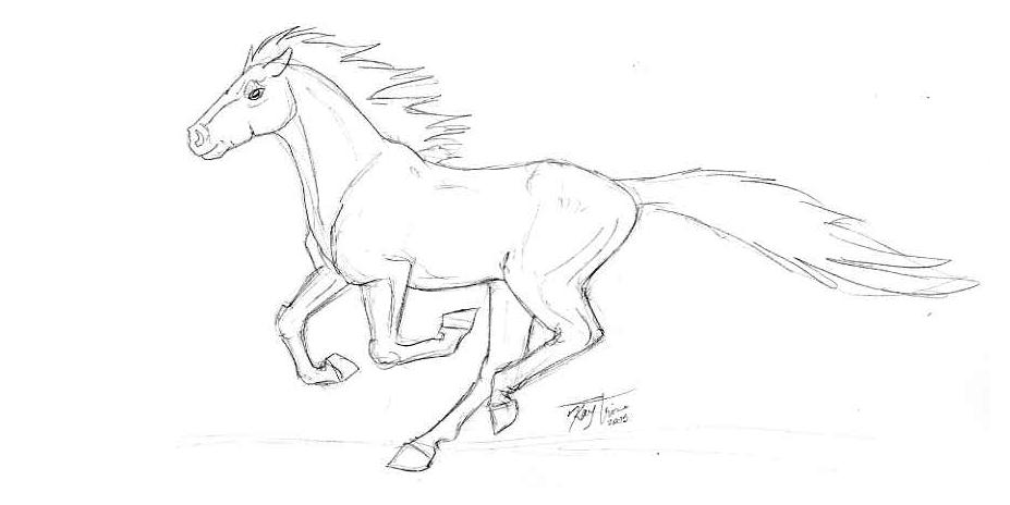 Galloping Horse Drawing at GetDrawings | Free download