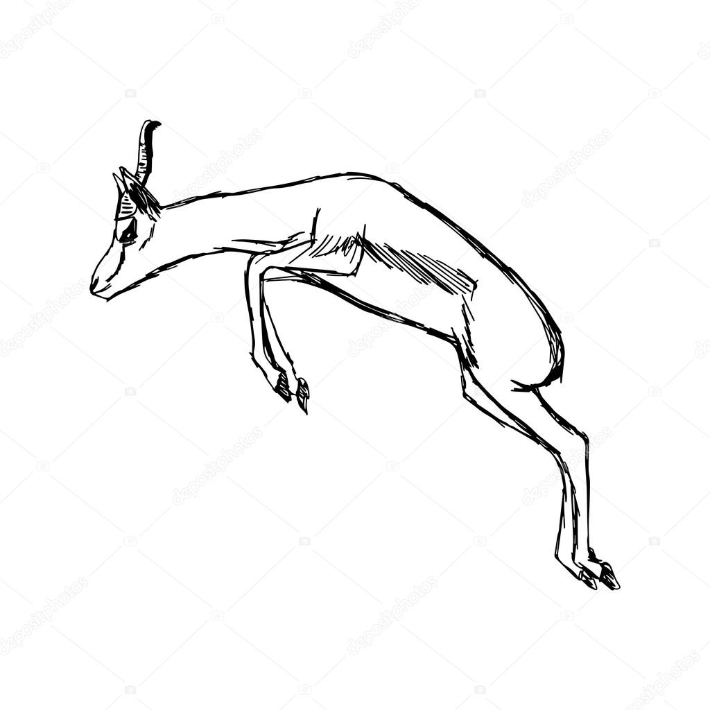 The best free Gazelle drawing images. Download from 69 free drawings of