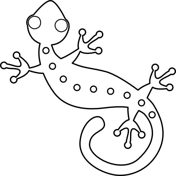 gecko-drawing-template-at-getdrawings-free-download