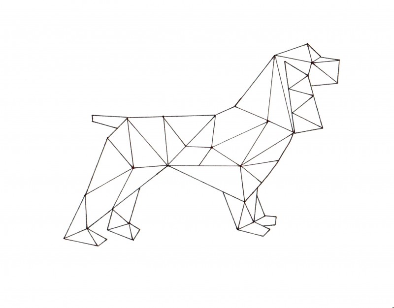 geometrical shapes drawing animals