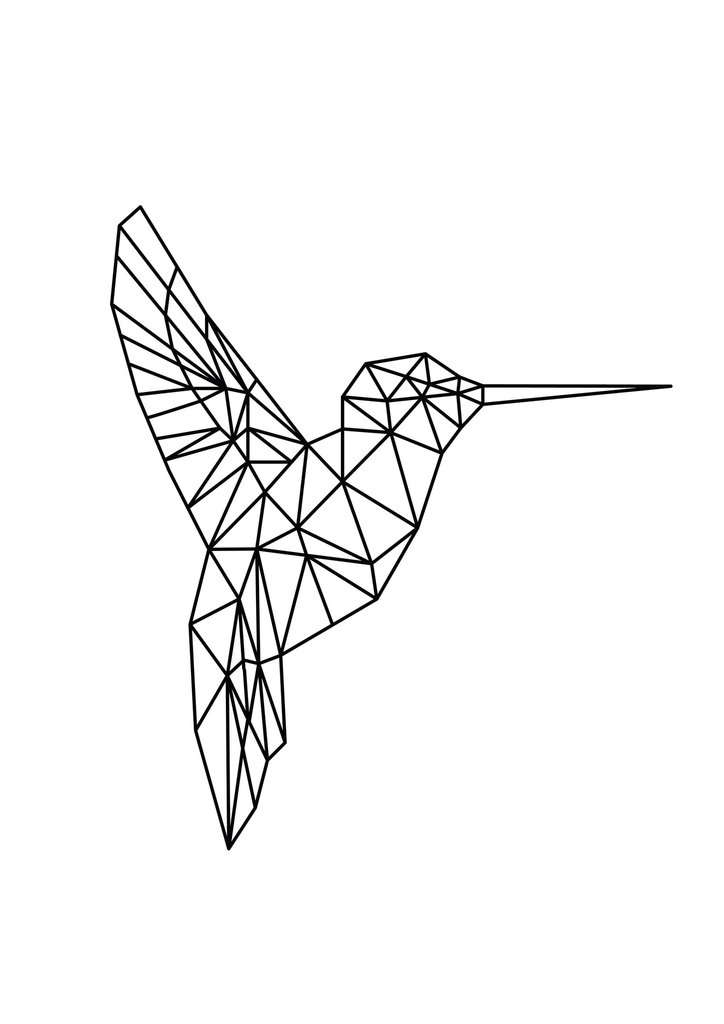 geometric bird drawing