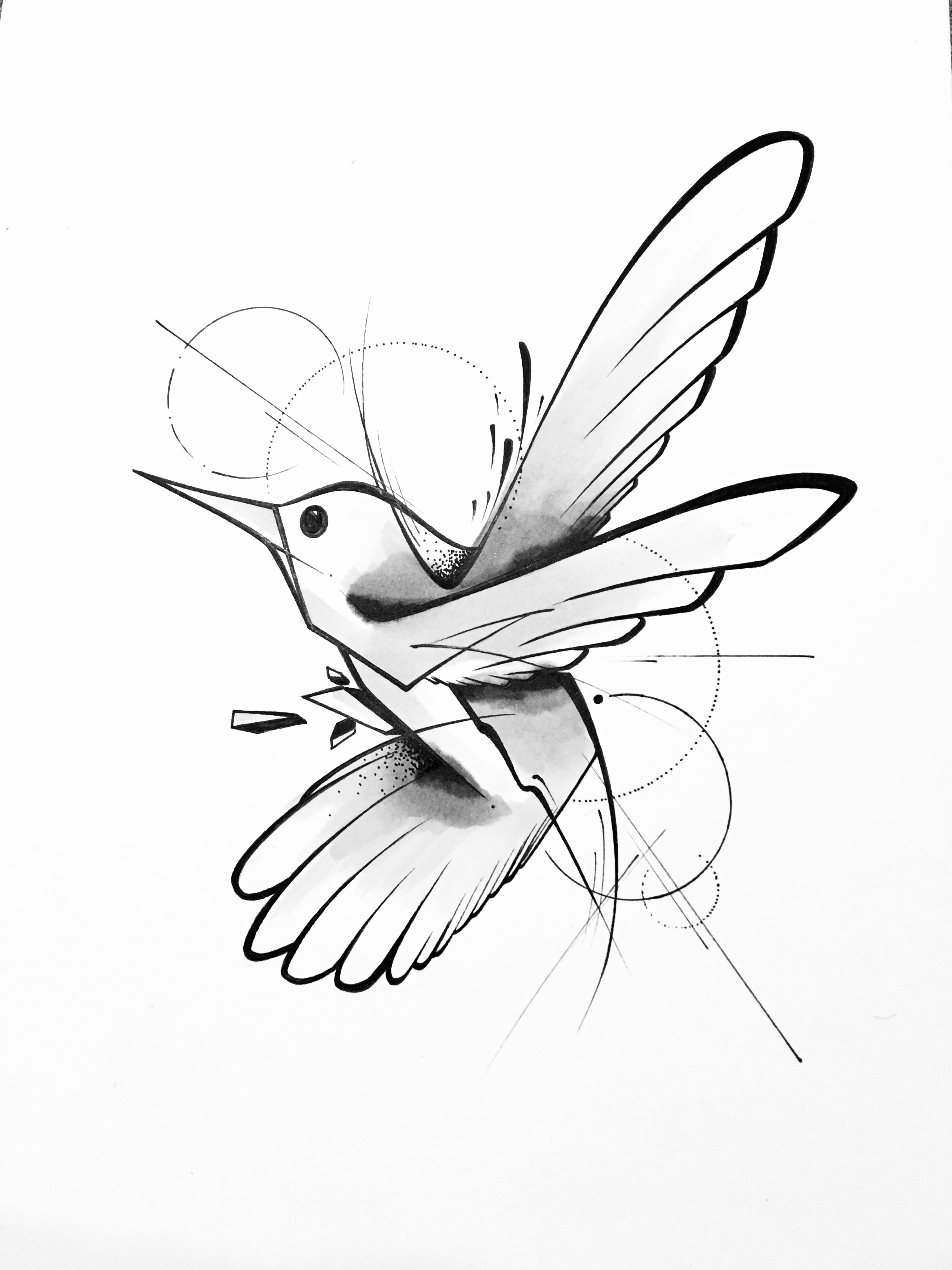 geometric bird drawing