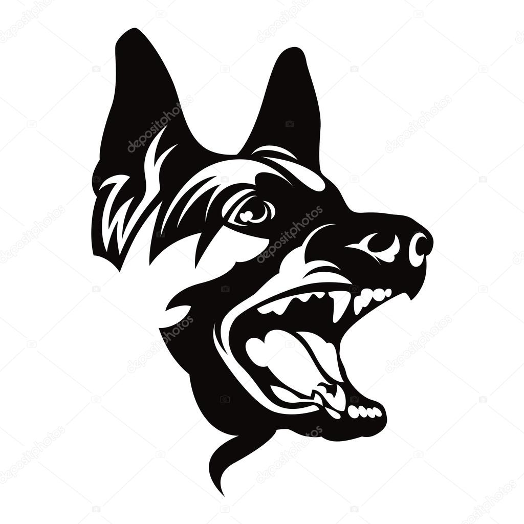 German Shepherd Head Drawing at GetDrawings | Free download