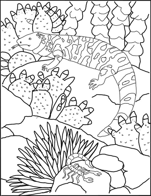 Gila Monster Drawing at GetDrawings | Free download
