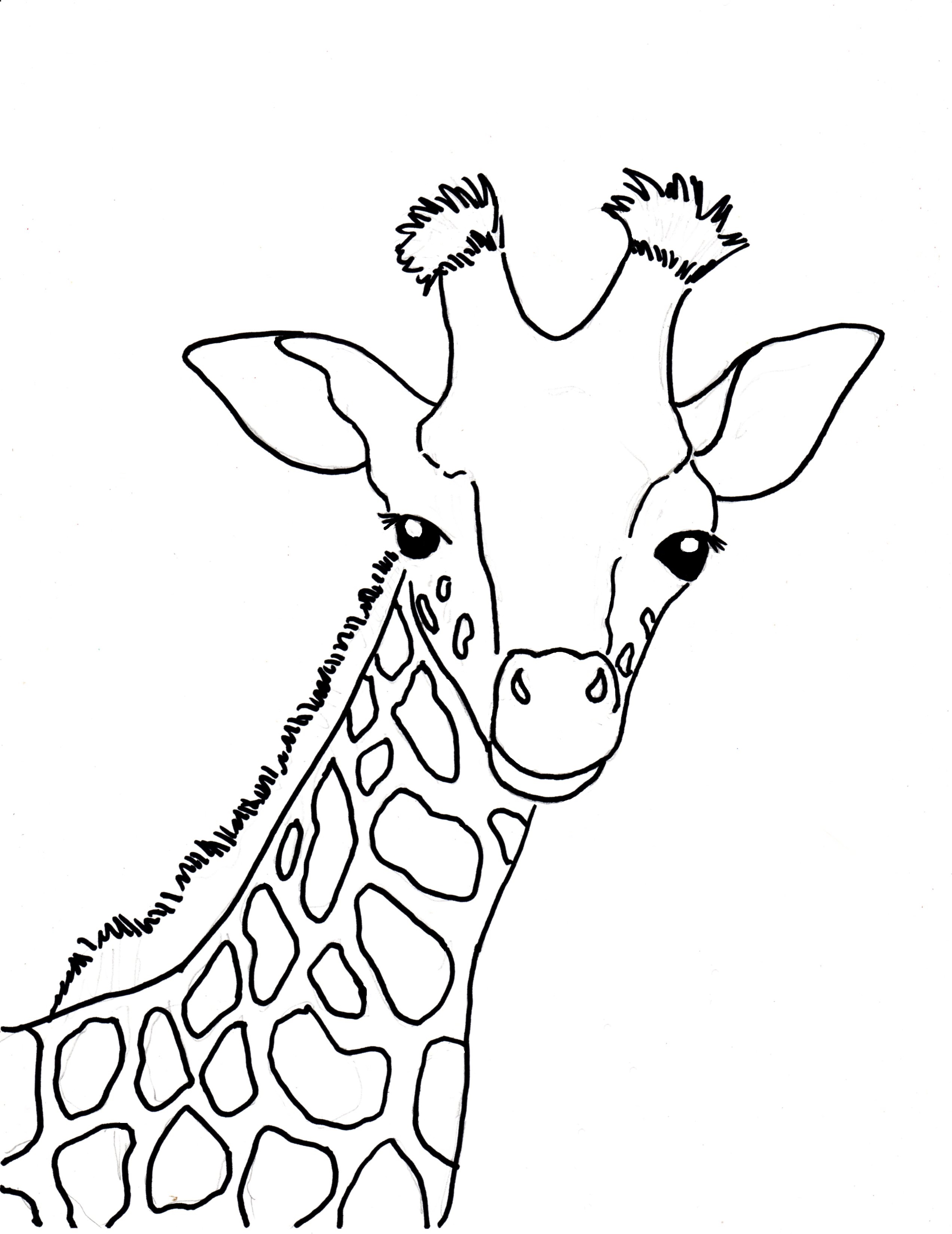 Giraffe Drawing Outline at GetDrawings Free download