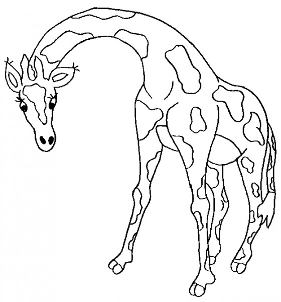 Giraffe Drawing Outline at GetDrawings | Free download