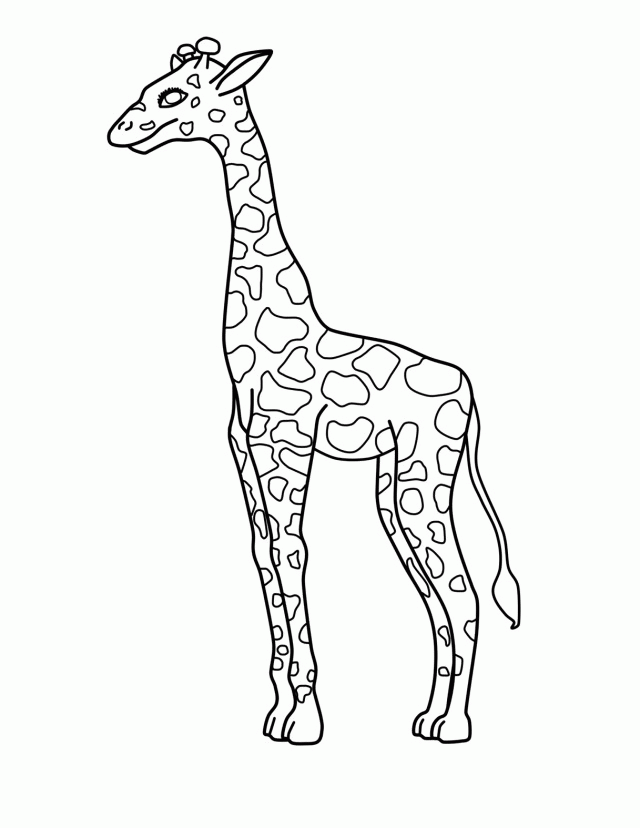 Giraffe Drawing Outline at GetDrawings | Free download