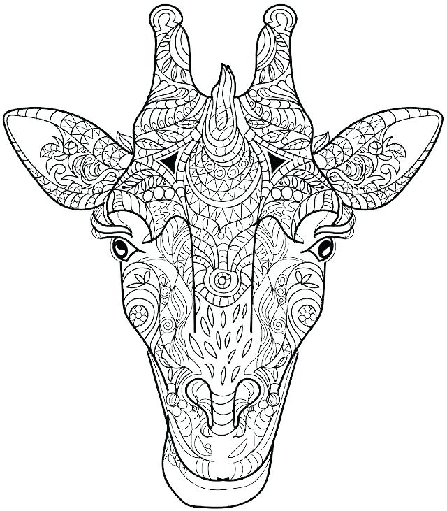 Giraffe Head Drawing at GetDrawings | Free download