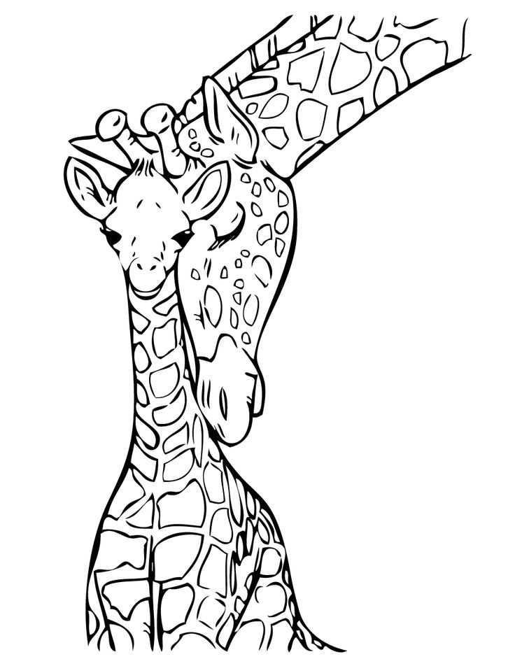 Giraffe Line Drawing at GetDrawings | Free download