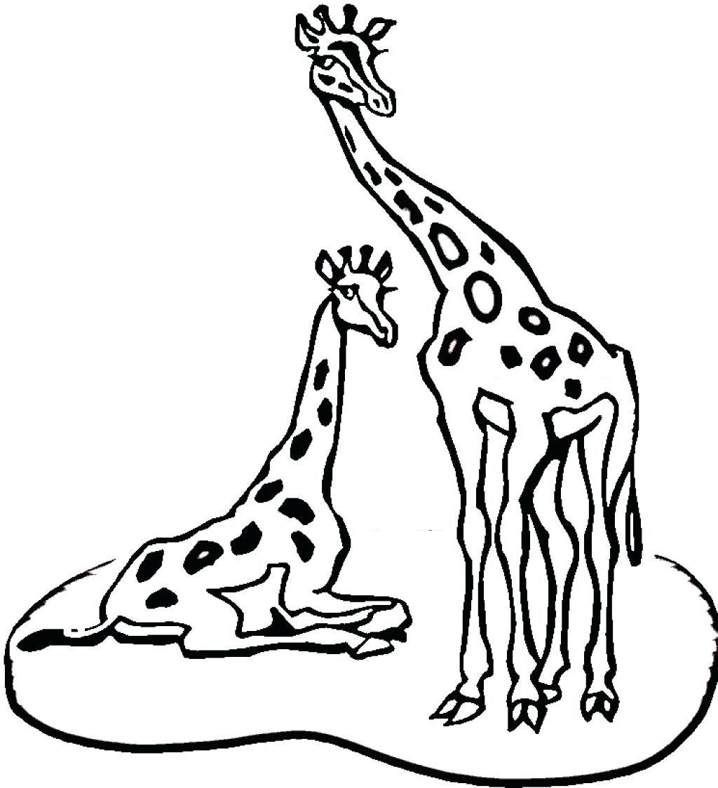 Семья Жирафов раскраска