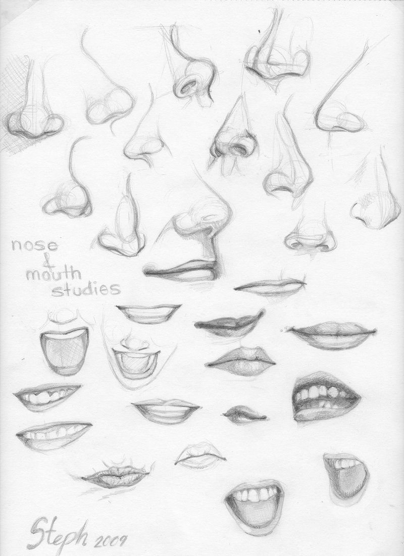 Animal Easy Sketches To Draw Of People Noses with simple drawing