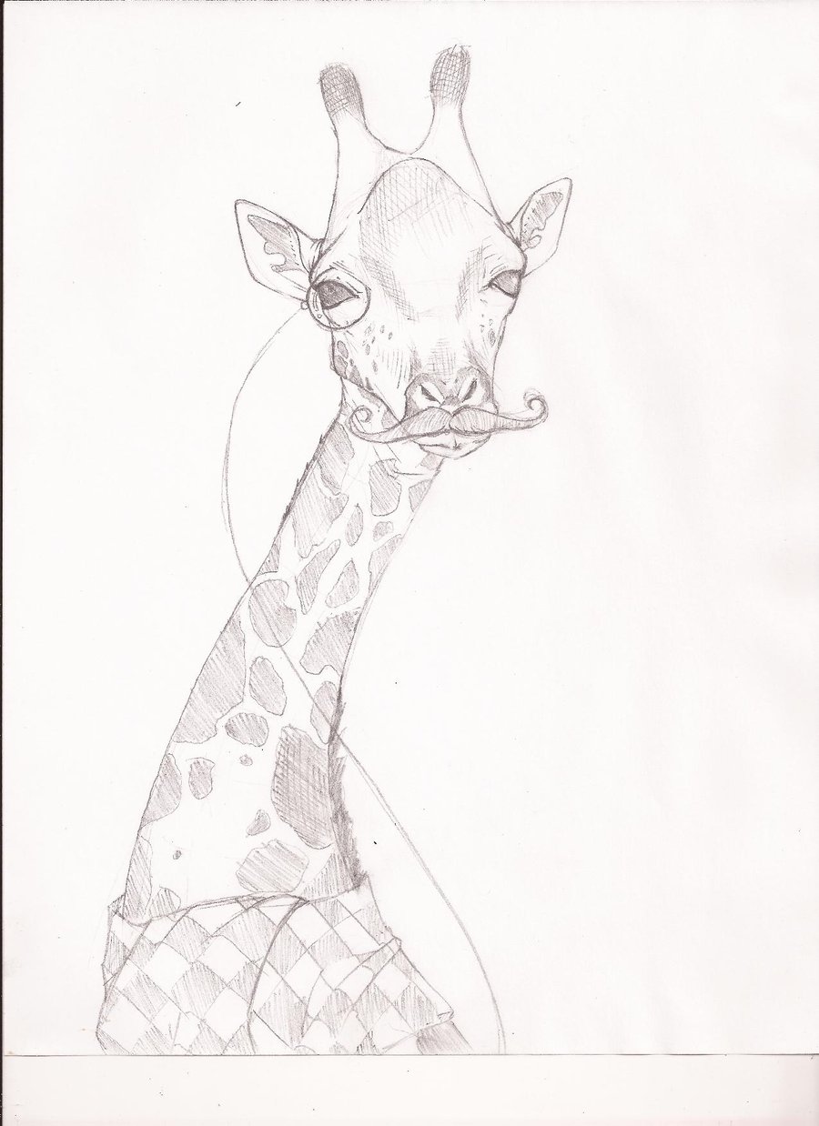Жирафик для срисовки