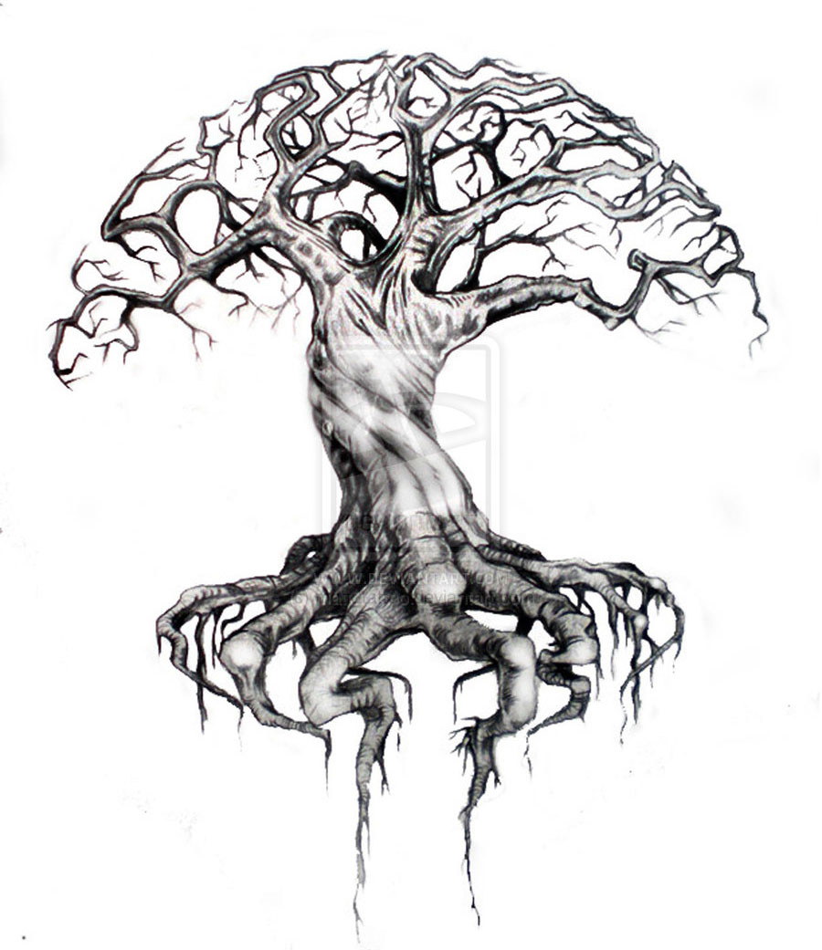 Gnarled Tree Drawing at Explore collection of