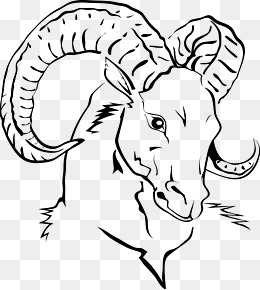 Goat Face Drawing at GetDrawings | Free download