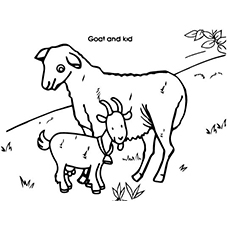 Goat Line Drawing at GetDrawings | Free download