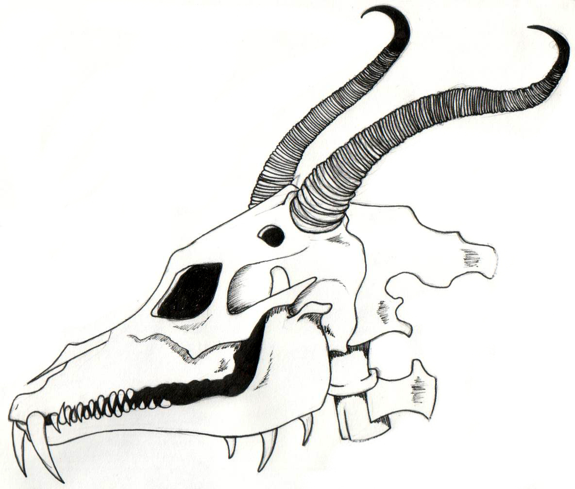 Череп дракона для рисования