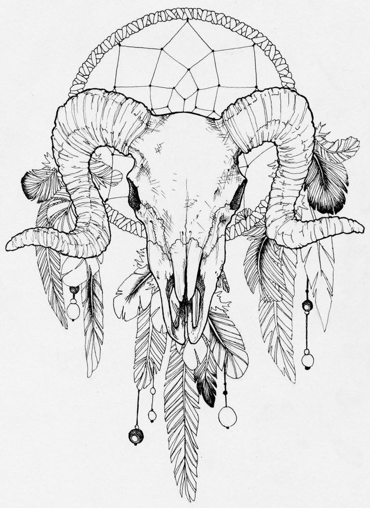 Goat Skull Drawing at GetDrawings | Free download