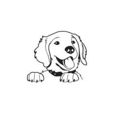 Golden Retriever Drawing at GetDrawings | Free download