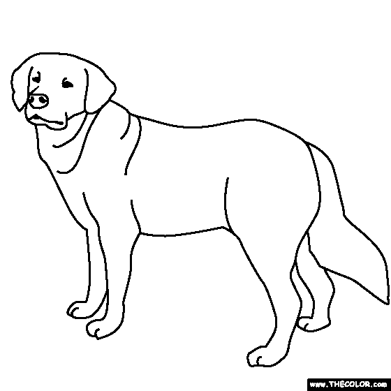 Golden Retriever Line Drawing at GetDrawings | Free download