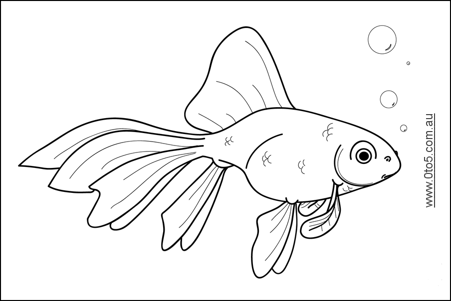 Coloring Pages Of A Goldfish Boringpop