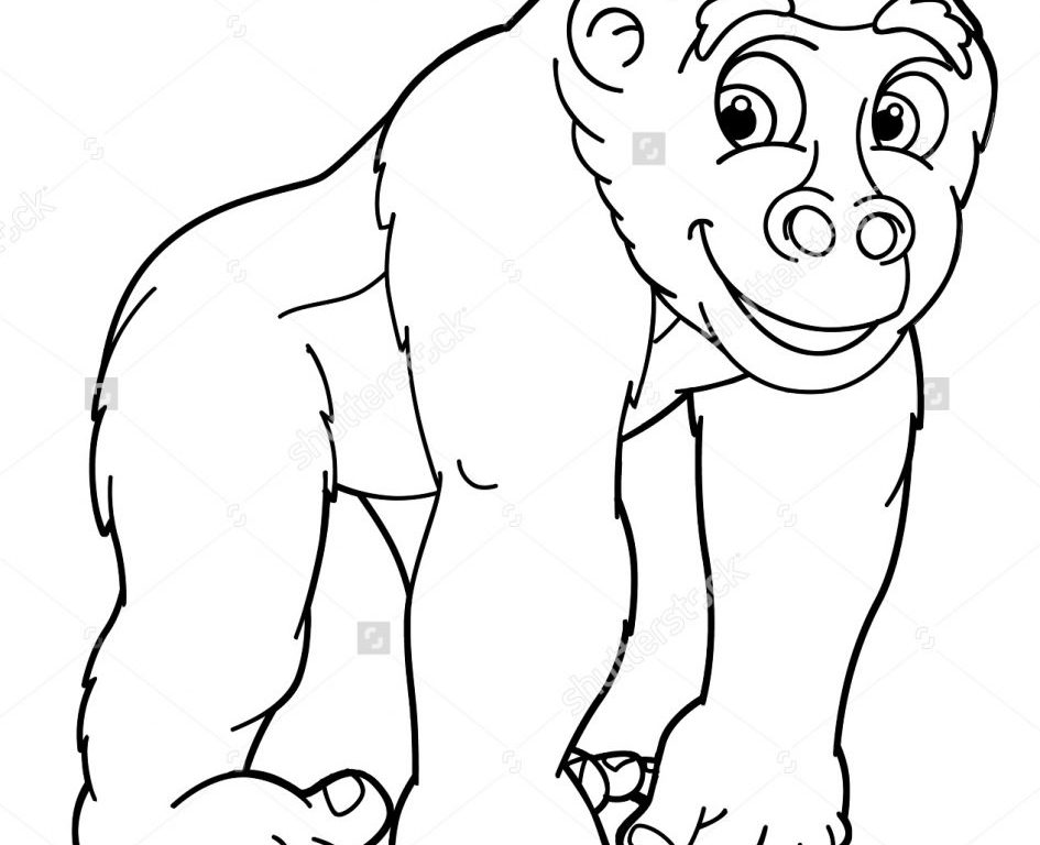 Gorilla Drawing For Kids at GetDrawings | Free download