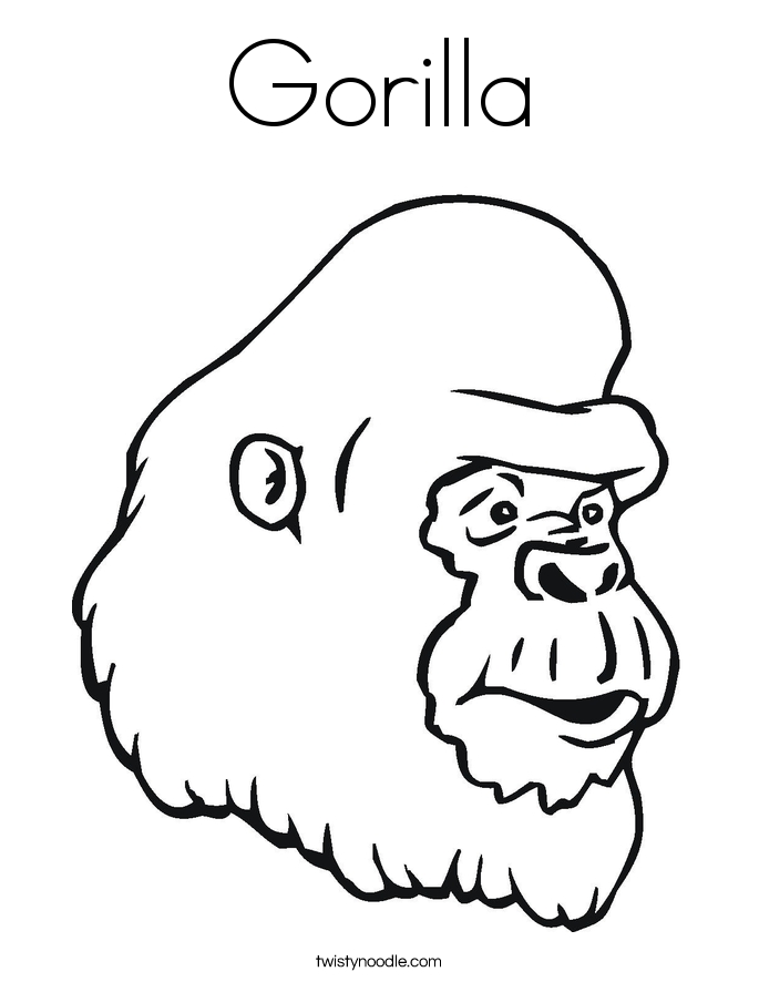 Gorilla Face Drawing at GetDrawings | Free download