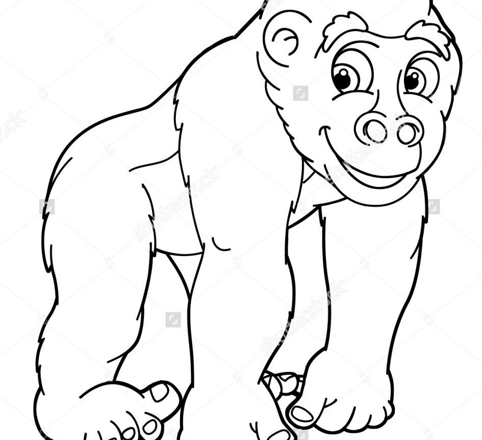 Gorilla Face Drawing At GetDrawings Free Download