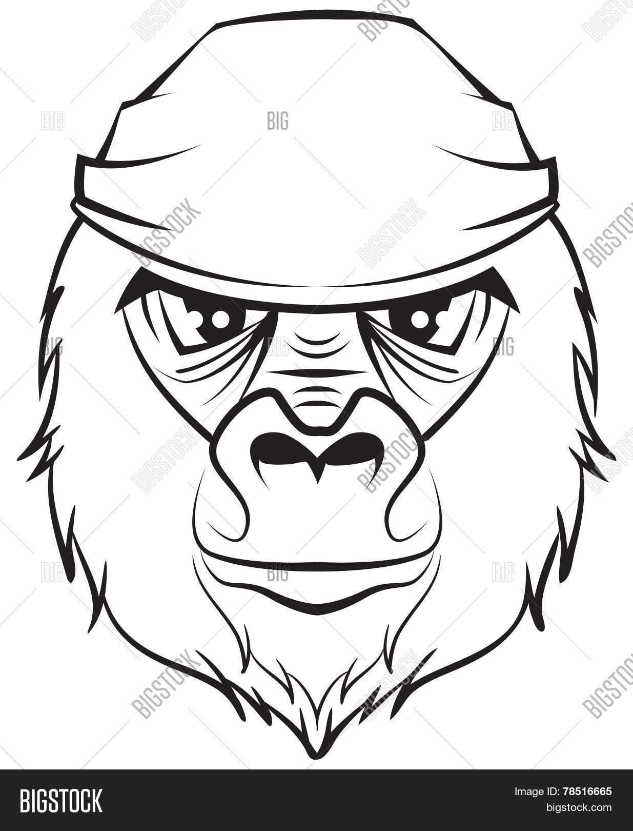 Gorilla Head Drawing at GetDrawings Free download