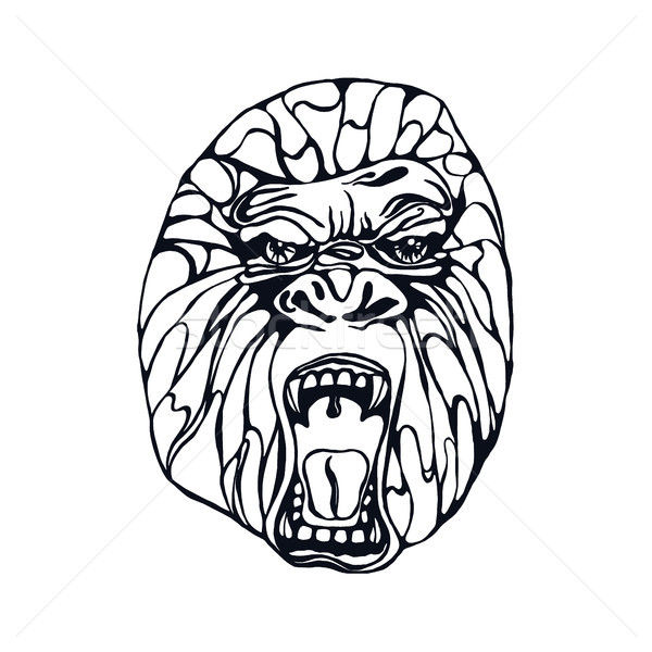 Gorilla Head Drawing at GetDrawings | Free download