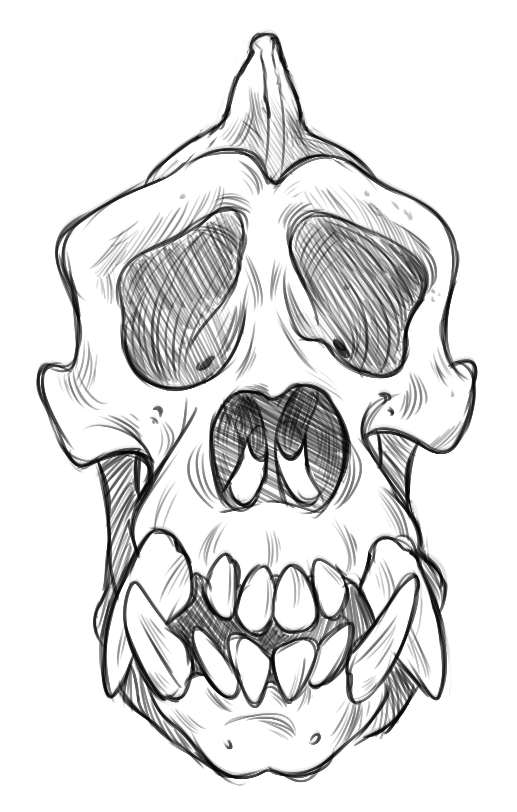Gorilla Skull Drawing at GetDrawings Free download