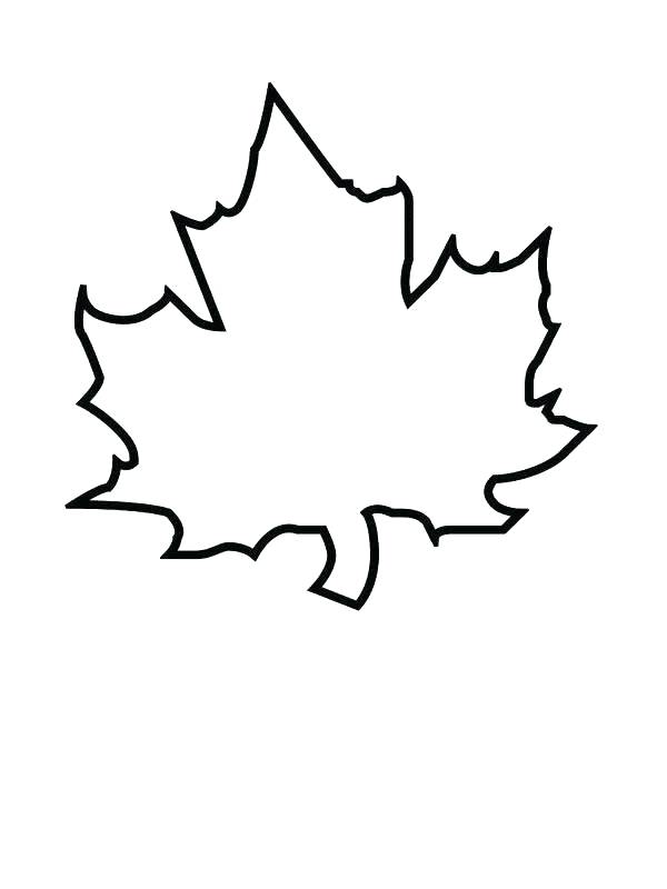 grape-leaf-drawing-at-getdrawings-free-download