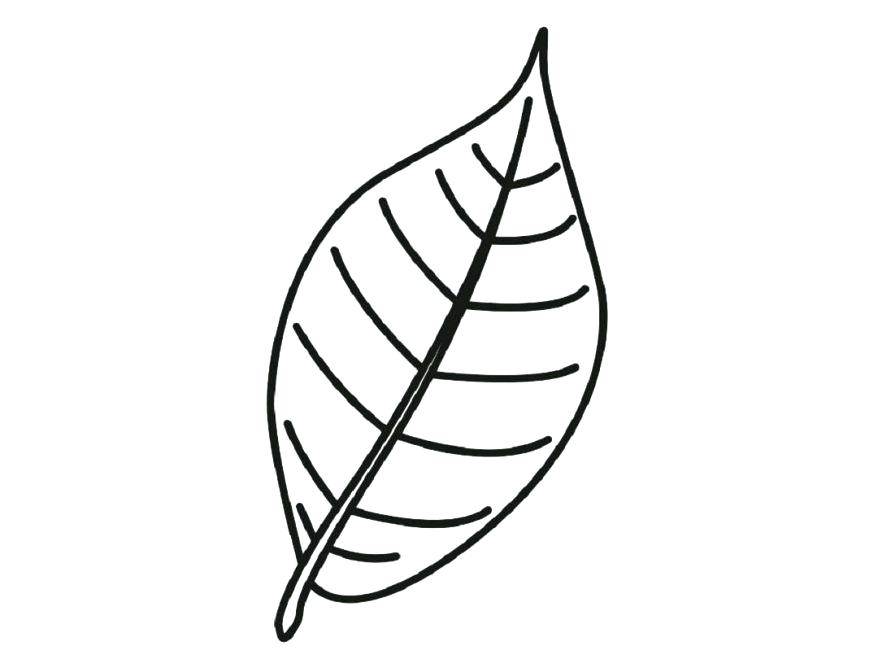 Grape Leaf Drawing at GetDrawings | Free download