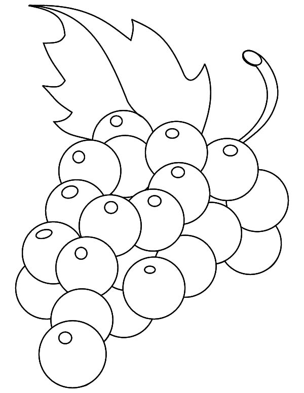 Grape Leaves Drawing at GetDrawings | Free download