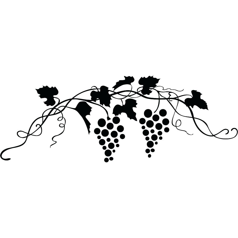 Grape Vine Drawing At GetDrawings Free Download