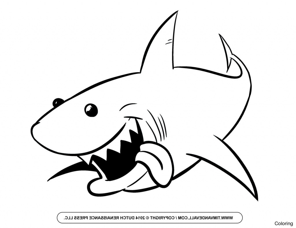 Great White Shark Drawing at GetDrawings | Free download