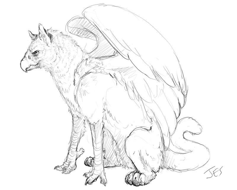 Griffin Drawing at GetDrawings | Free download