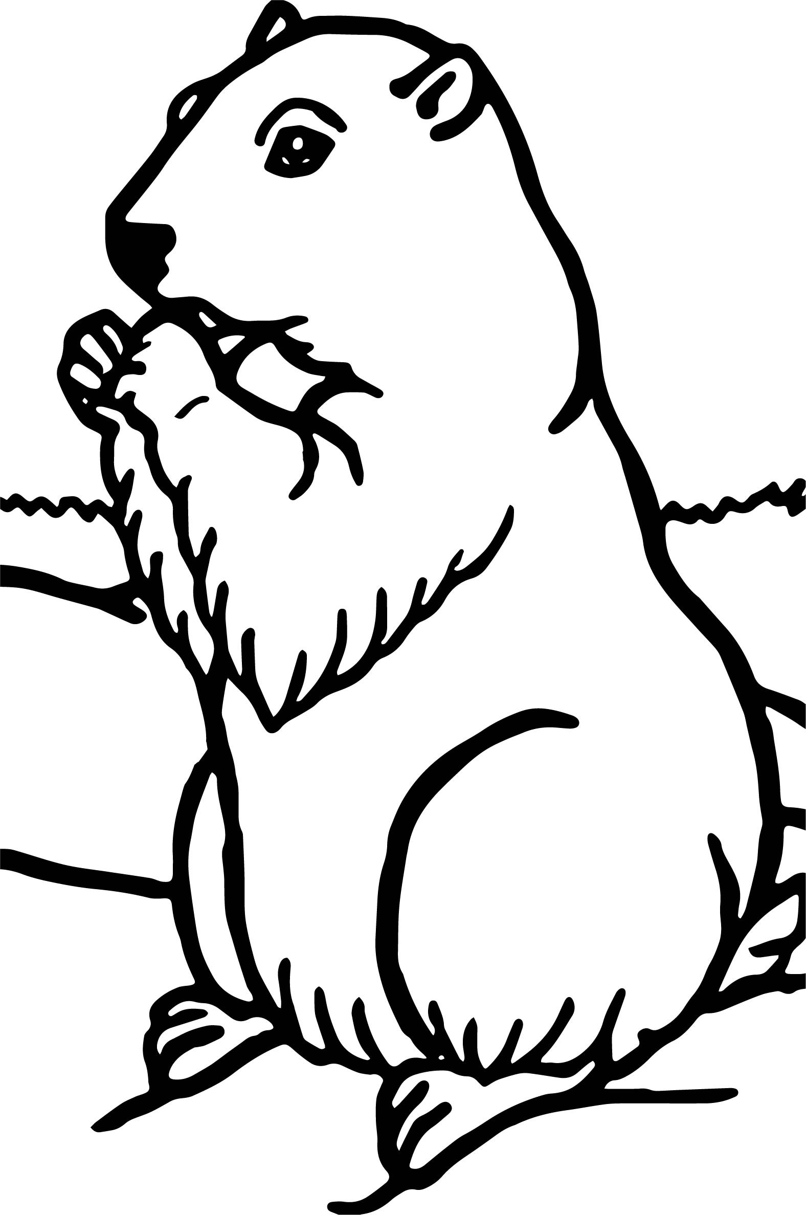 Groundhog Line Drawing at GetDrawings Free download