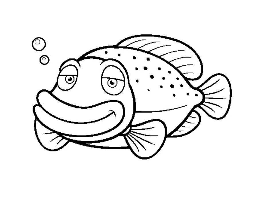 The Best Free Grouper Drawing Images. Download From 47 Free Drawings Of 