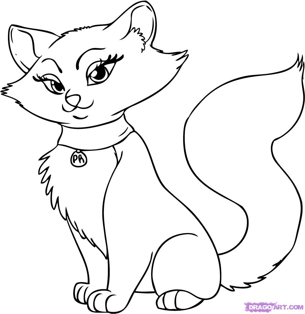Grumpy Cat Cartoon Drawing at GetDrawings | Free download