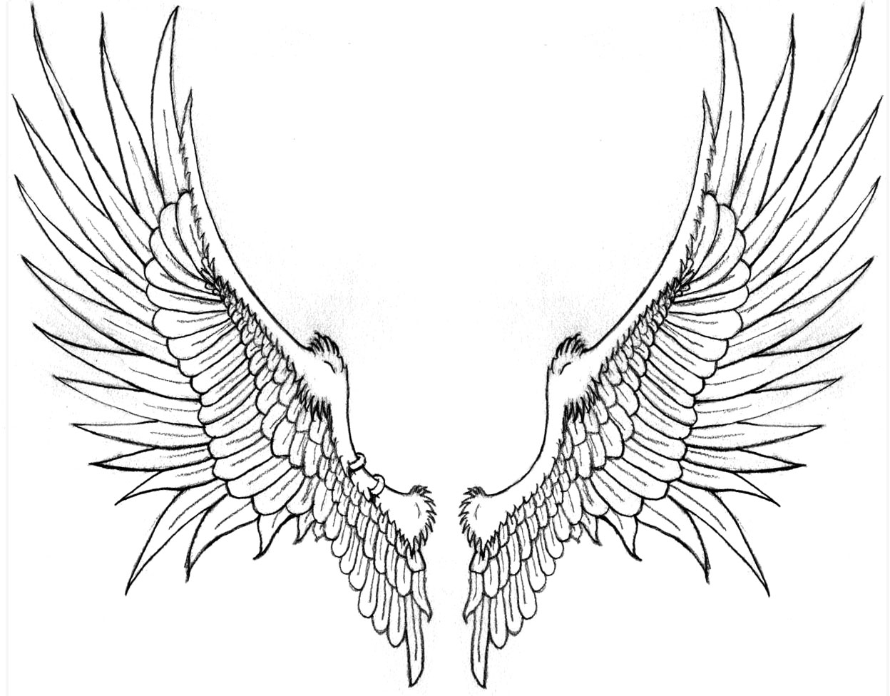 guardian angel angel wing drawing