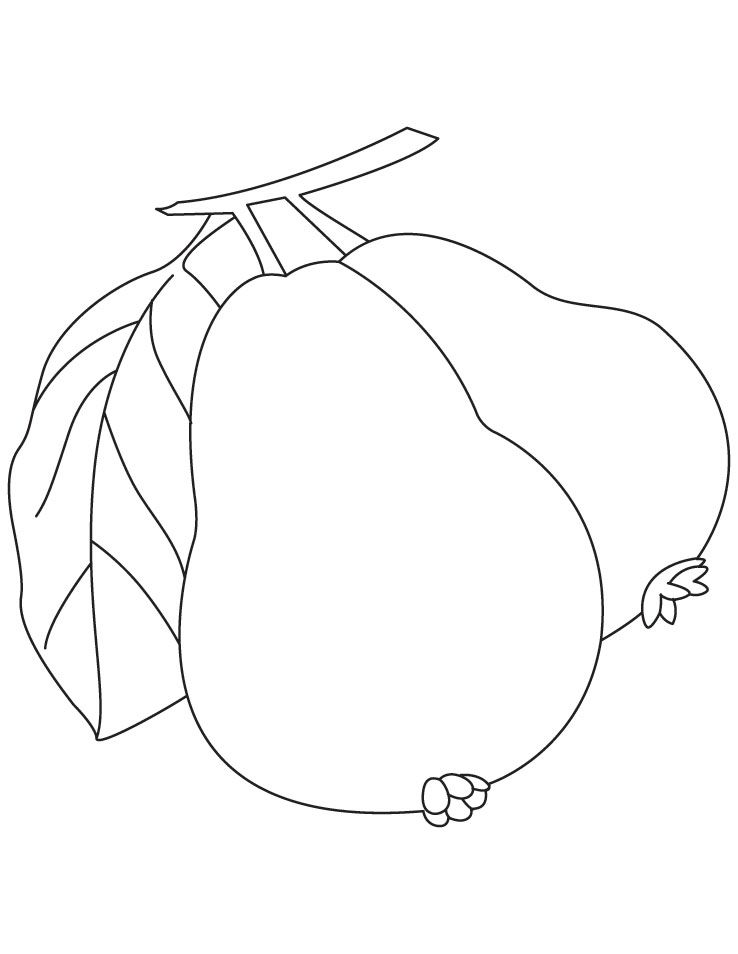 Featured image of post Guava Sketch For Kids We have collected 100 coloring pages with dogs