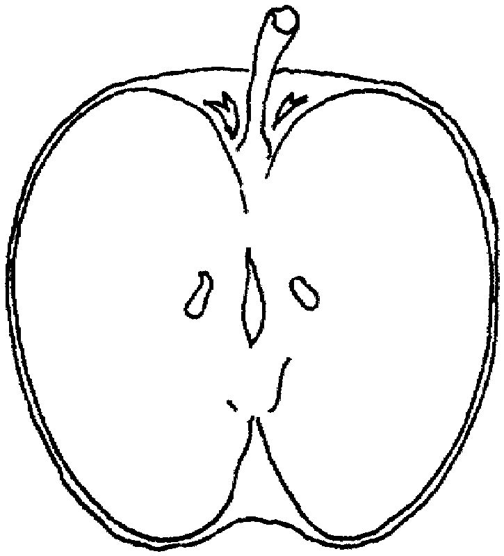 Half Apple Drawing at GetDrawings | Free download