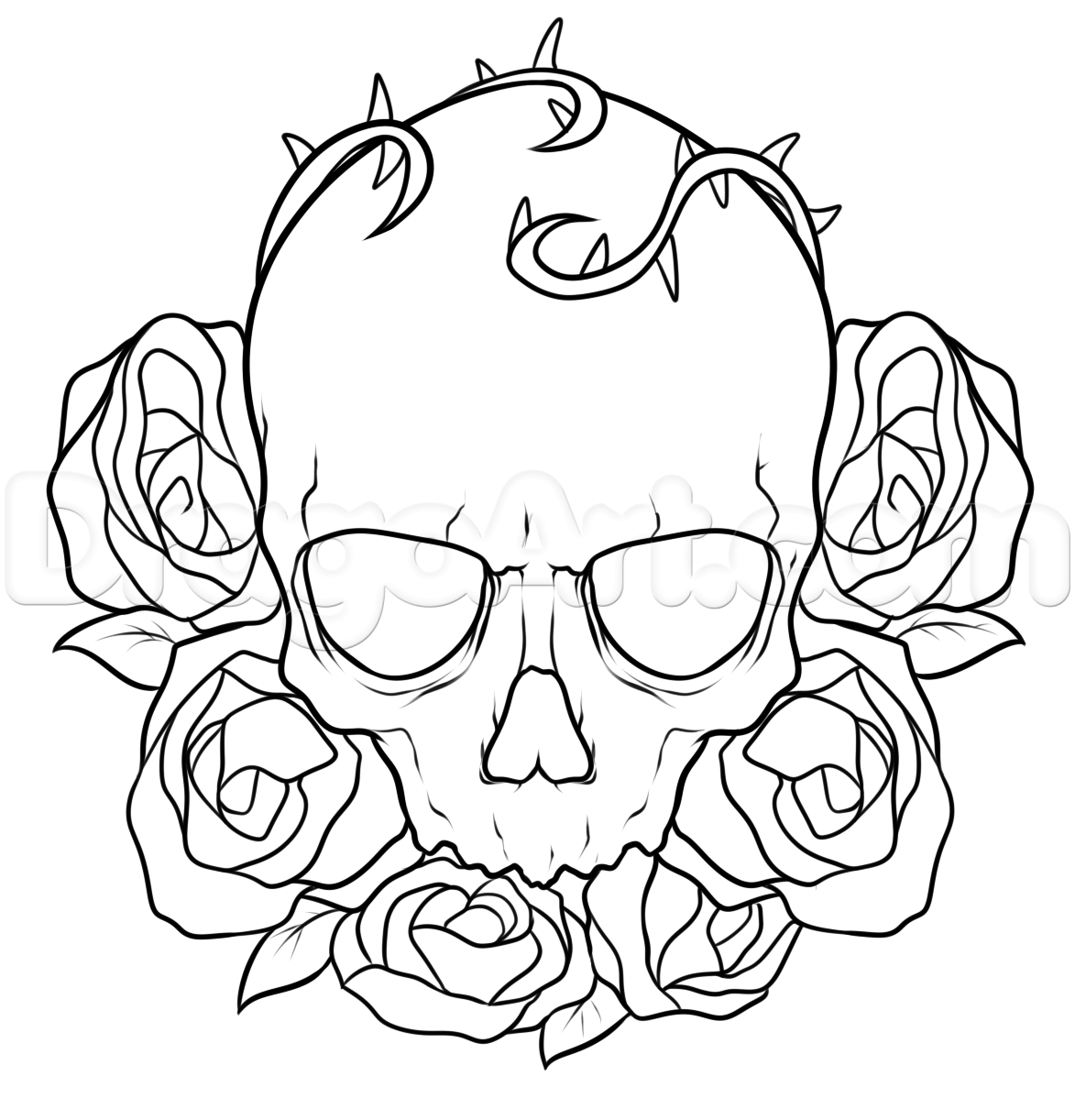 Half Skull Face Drawing At Getdrawings Free Download 