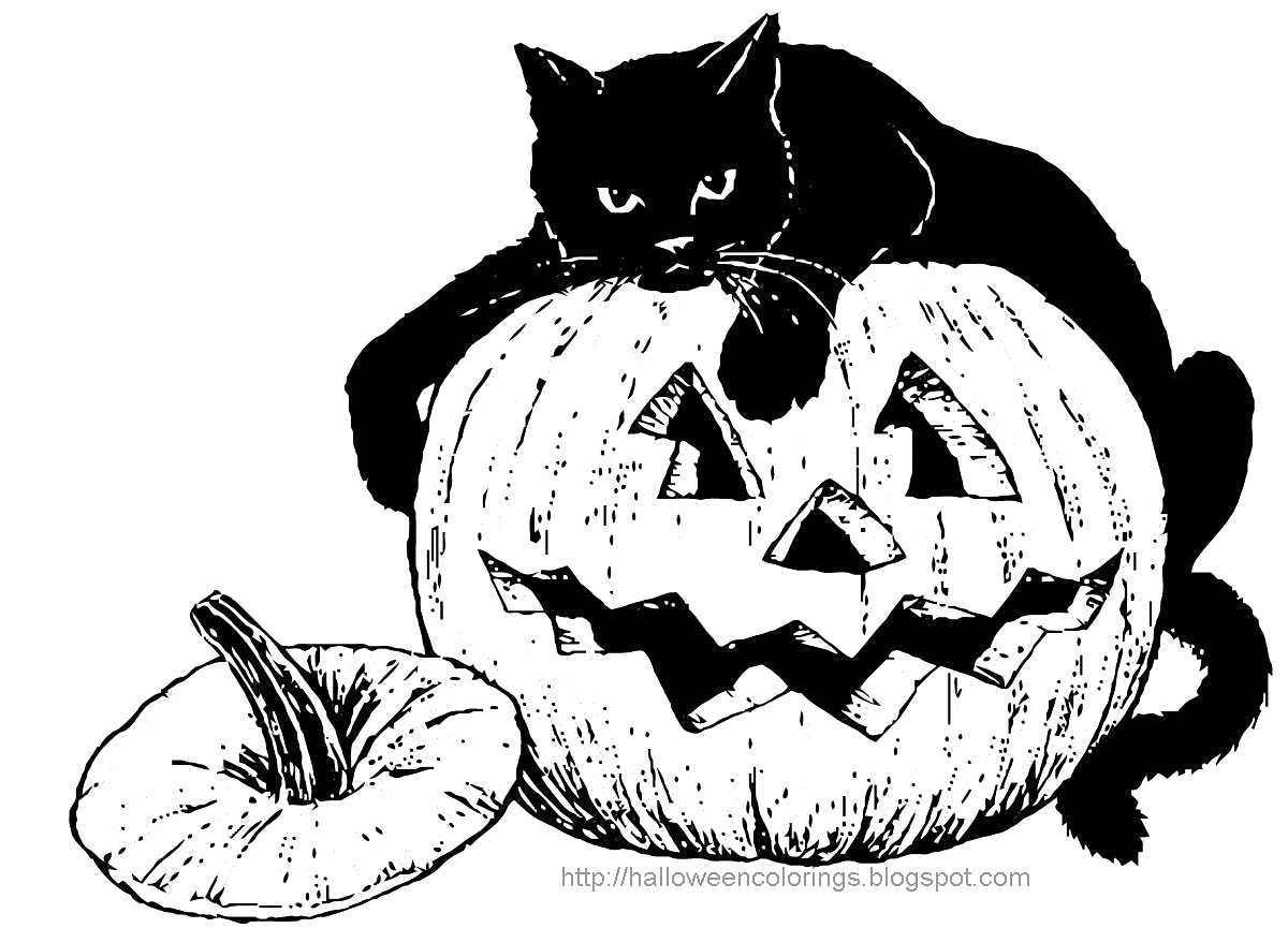 halloween-cat-drawing-at-getdrawings-free-download