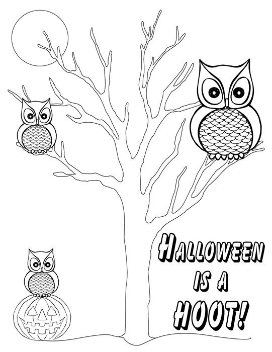 Halloween Owl Drawing at GetDrawings | Free download