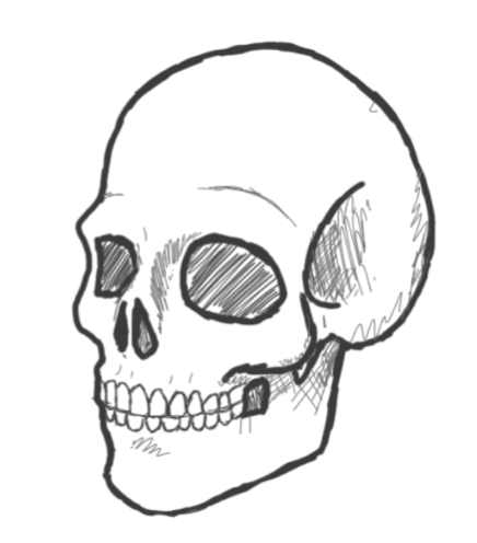 Hamlet Skull Drawing at GetDrawings | Free download