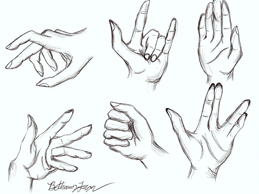 Hand Anatomy Drawing At Getdrawings Free Download