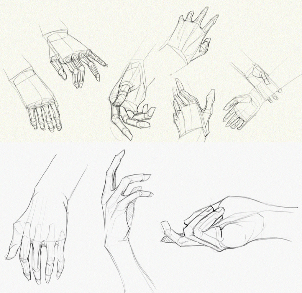 Hand Anatomy Drawing at GetDrawings | Free download