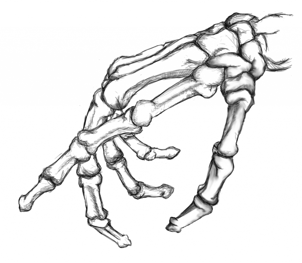 Skeleton Hand Reaching Out Png All About Cwe3