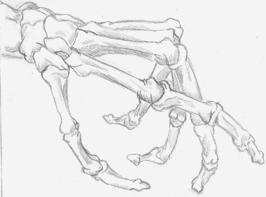 Hand Bones Drawing at GetDrawings | Free download